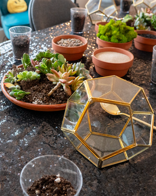 6-inch premium DIY terrarium kit with geometric glass container, assorted succulents, soil, sand, moss, and tools, hands-on plant building experience for home decor, gifting, and NYC workshops