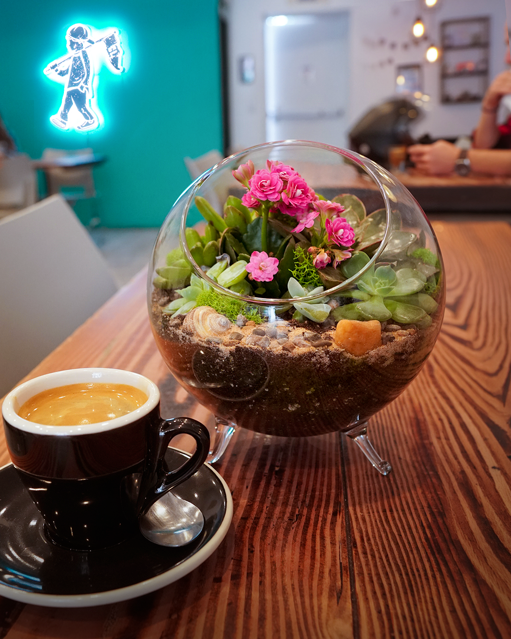 City League Mini Terrarium Class - Oct 4 at 2 PM