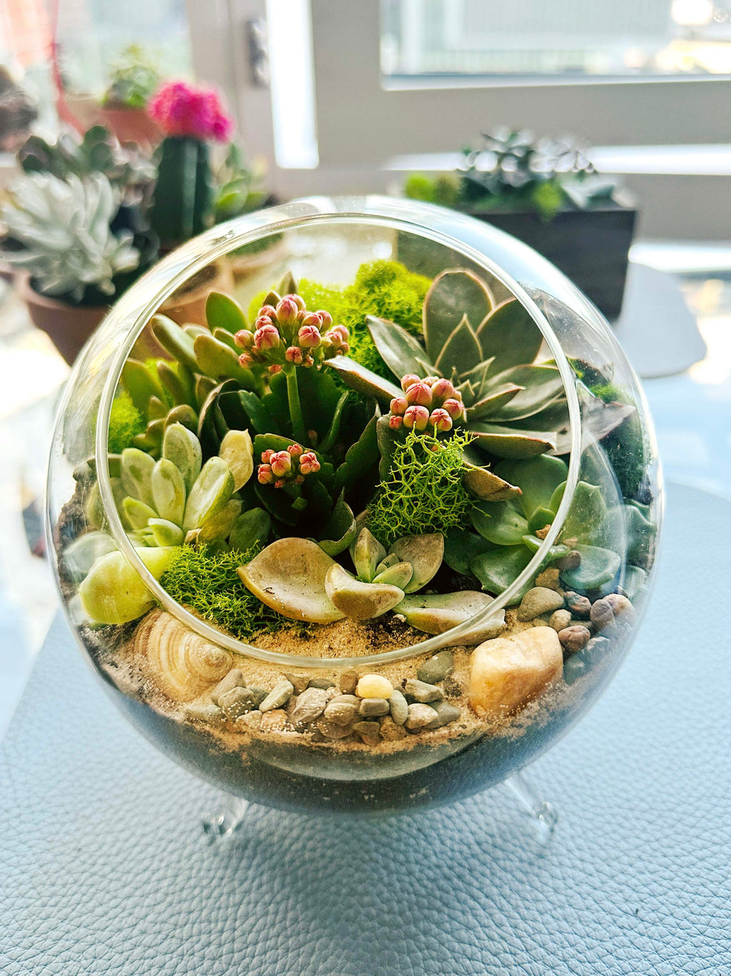 City League Mini Terrarium Class - Oct 4 at 2 PM