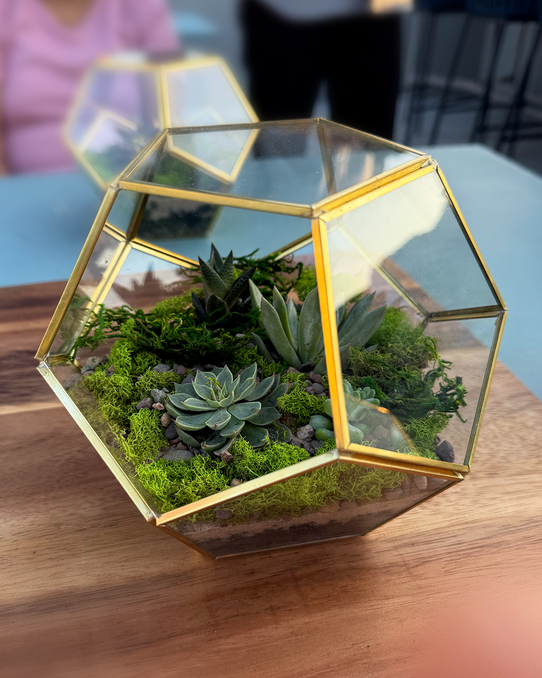 premium geometric glass terrarium with succulents and preserved moss, handcrafted indoor plant decor, modern luxury gift and NYC delivery terrarium