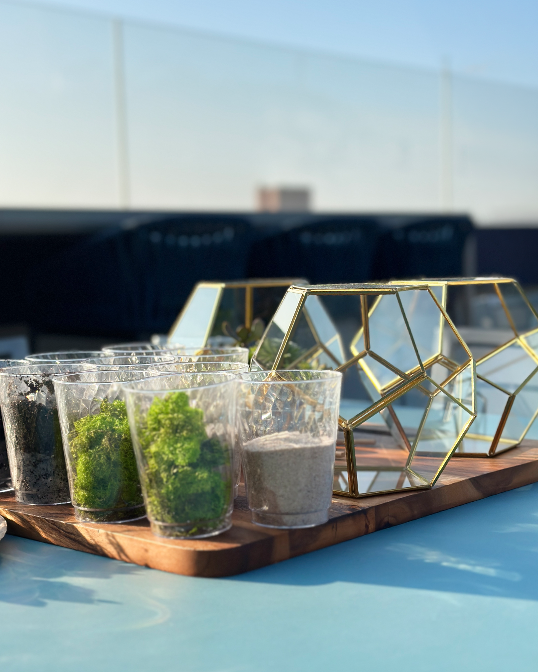 premium terrarium workshop kit with geometric glass container, succulents, moss, soil, and tools, hands-on plant building experience for events, gifting, and NYC workshops