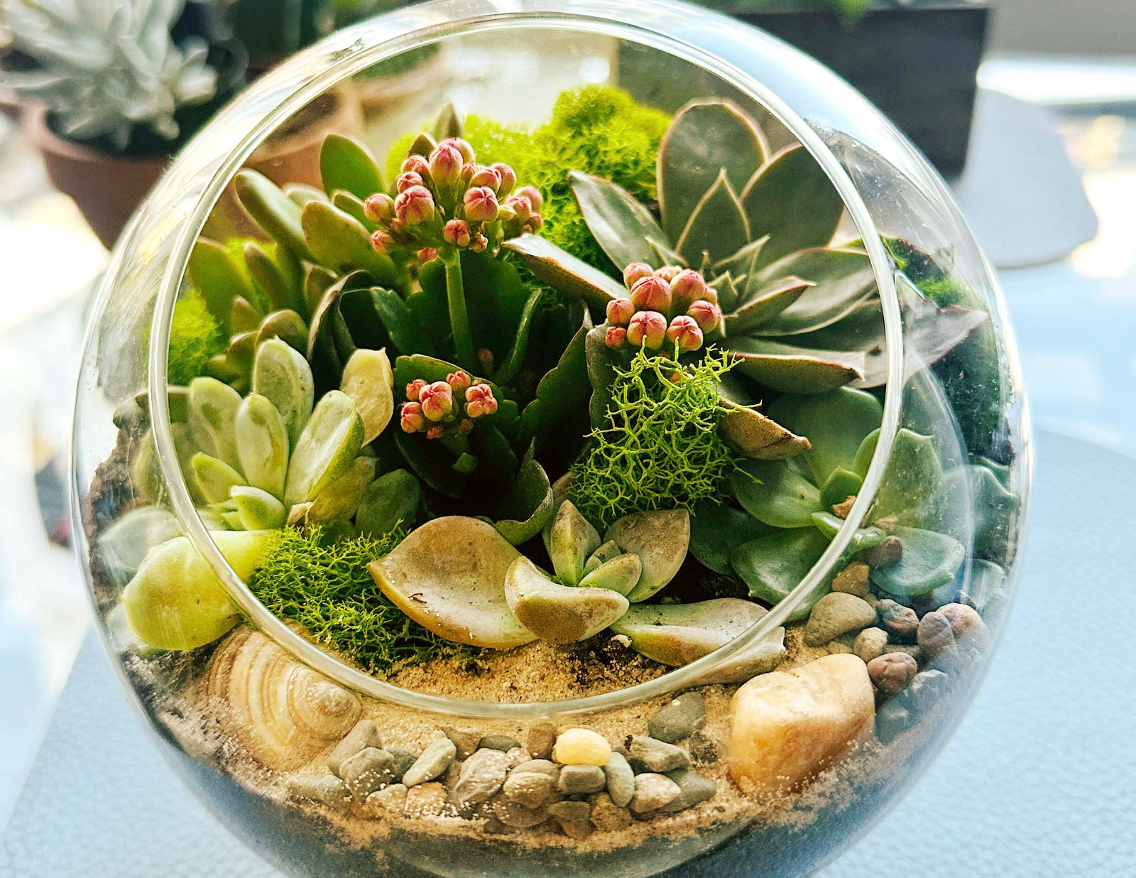 Close-up of a Mini glass globe terrarium with succulents and decorative materials