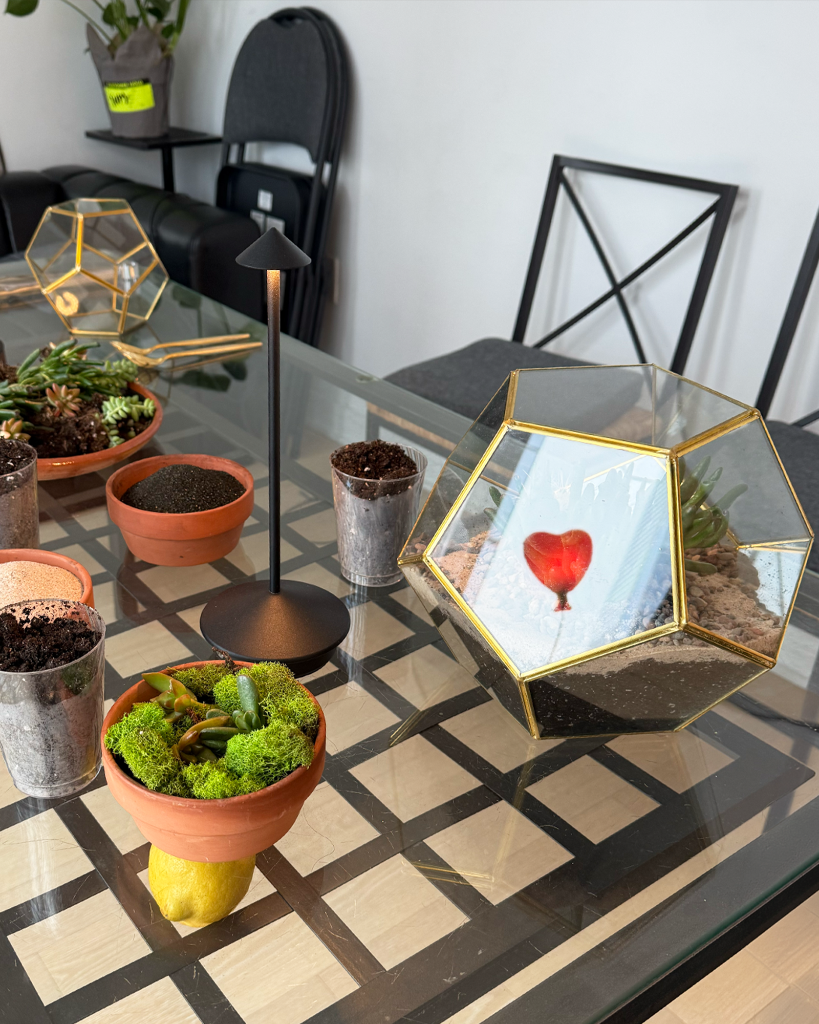Terrarium workshop at KXKO.CO